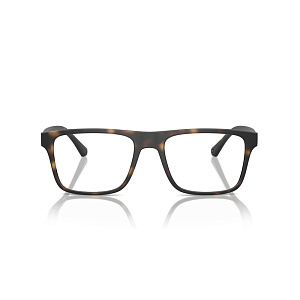 Оправа EMPORIO ARMANI EA 4115 5089/1W 54 (CL-ON)